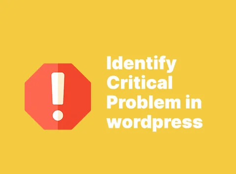identify critical problem in wordpress